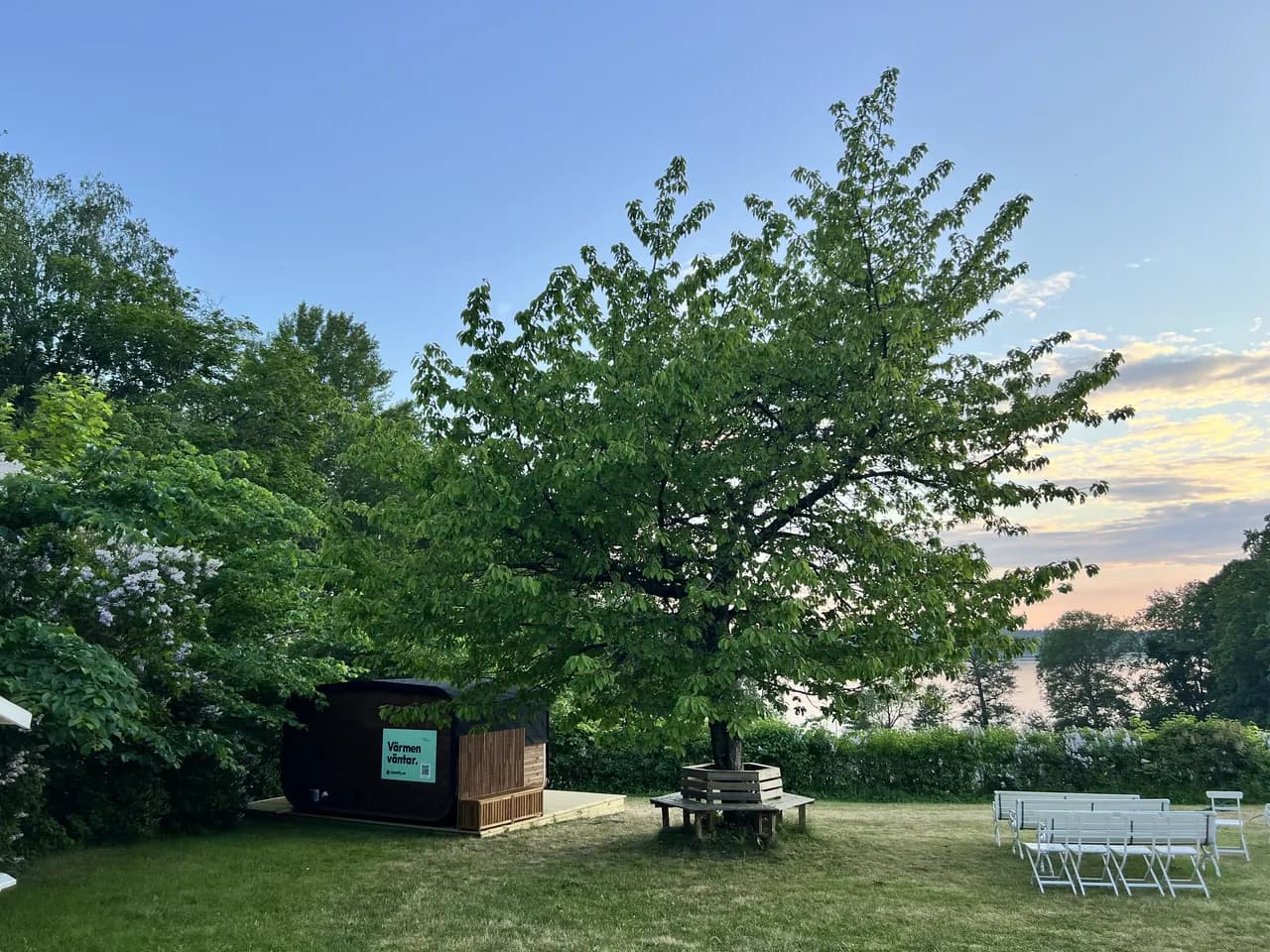 Herrgårdsparken vid Riddersvik i gyllene kvällsljus, med bastun under det stora trädet och Mälaren i bakgrunden